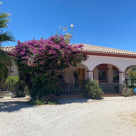 Villa Entre Mer Et Montagne Arcos de la Frontera Exterior foto